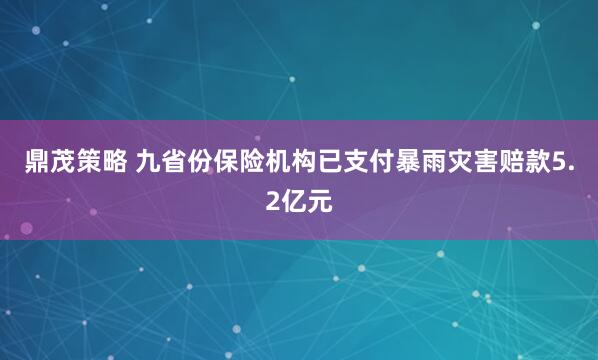 鼎茂策略 九省份保险机构已支付暴雨灾害赔款5.2亿元
