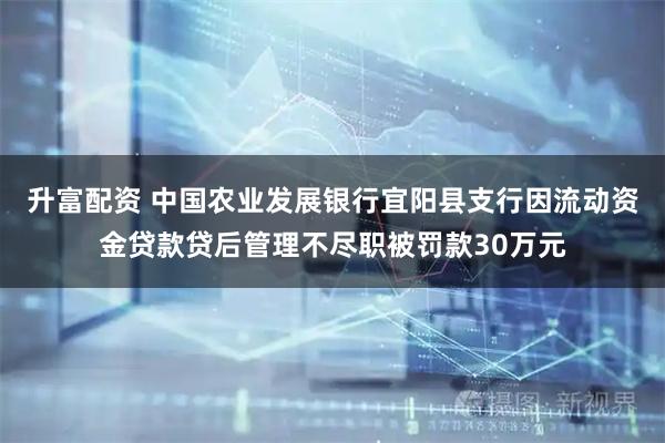 升富配资 中国农业发展银行宜阳县支行因流动资金贷款贷后管理不尽职被罚款30万元