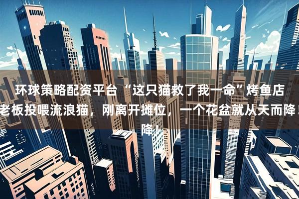 环球策略配资平台 “这只猫救了我一命”烤鱼店老板投喂流浪猫，刚离开摊位，一个花盆就从天而降！