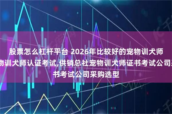 股票怎么杠杆平台 2026年比较好的宠物训犬师培训,宠物训犬师认证考试,供销总社宠物训犬师证书考试公司采购选型